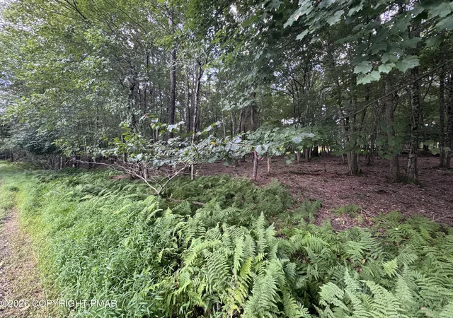 Photo 3 of Sale Pending at EV484 Masters Trail, Albrightsville, PA 18210 | MLS# PM-144494 | Listing updated on 2026-09-12