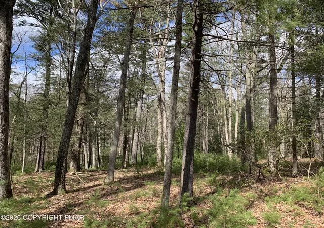 Photo 1 of Land for sale at Tower Rd, Dingmans Ferry, PA 18328 | MLS# PM-144571 | Listing updated on 2026-09-09