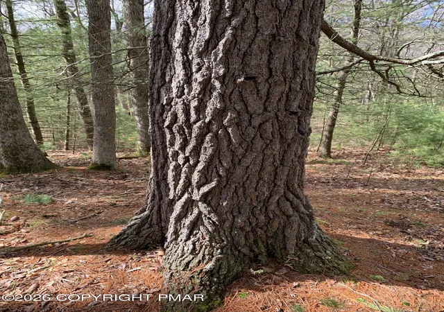 Photo 3 of Land for sale at Tower Rd, Dingmans Ferry, PA 18328 | MLS# PM-144571 | Listing updated on 2026-09-09