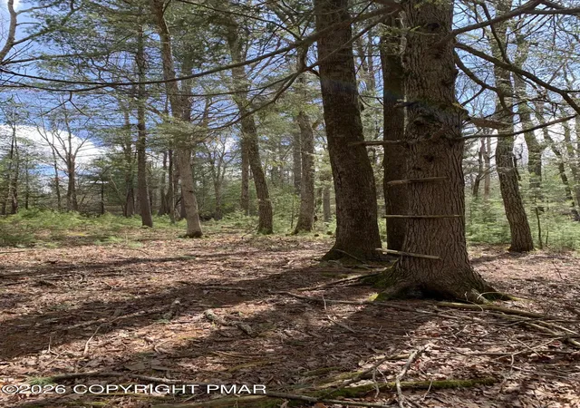 Photo 4 of Land for sale at Tower Rd, Dingmans Ferry, PA 18328 | MLS# PM-144571 | Listing updated on 2026-09-09