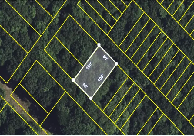 Photo 3 of Land for sale at W678 William St, Chinchilla, PA 18410 | MLS# PM-144599 | Listing updated on 2026-09-09