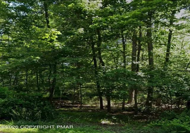 Photo 3 of Land for sale at Lot 132 Timber Hl Rd, Henryville, PA 18332 | MLS# PM-144636 | Listing updated on 2026-09-11