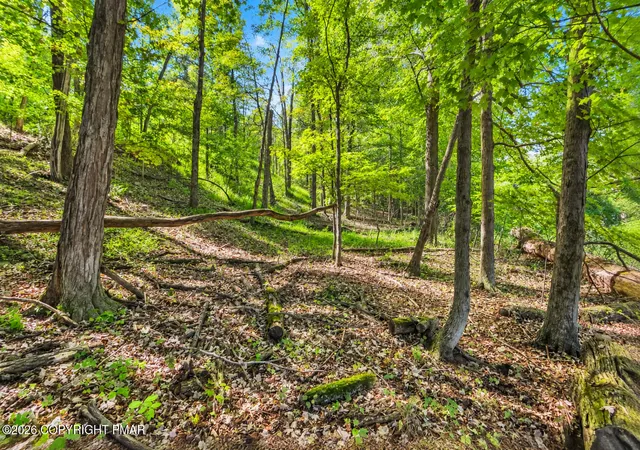 Photo 2 of Land for sale at 21 Shepard Ave, Delaware Water Gap, PA 18327 | MLS# PM-144716 | Listing updated on 2026-09-28