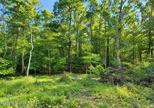 Photo 1 of Land for sale at Cottontail Ln Lot#34, East Stroudsburg, PA 18302 | MLS# PM-144776 | Listing updated on 2026-09-16