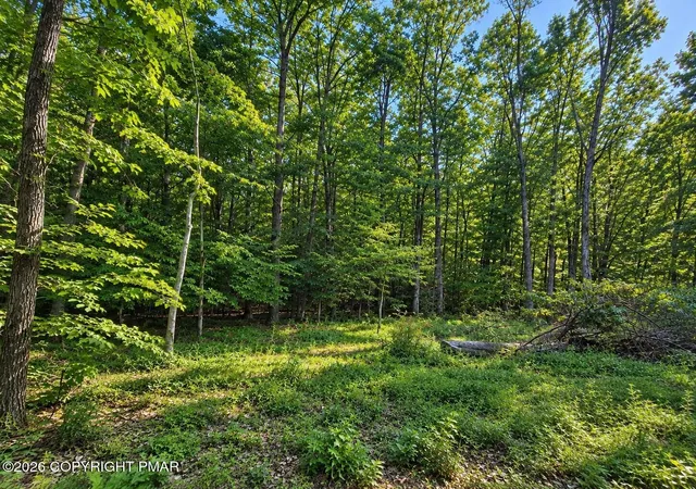 Photo 2 of Land for sale at Cottontail Ln Lot#34, East Stroudsburg, PA 18302 | MLS# PM-144776 | Listing updated on 2026-09-16