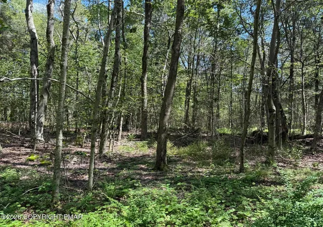 Land for sale at 20 Wildbrook Dr, Newfoundland, PA 18445 | MLS# PM-144928