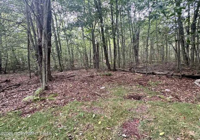 Photo 3 of Land for sale at A50 Sage Rd, Blakeslee, PA 18610 | MLS# PM-145228 | Listing updated on 2026-10-06