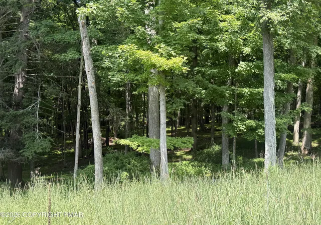 Photo 1 of Land for sale at Lot 325 Milford Rd, Bushkill, PA 18324 | MLS# PM-144875 | Listing updated on 2026-09-18