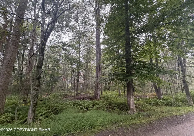 Photo 3 of Land for sale at E/114 118 Bent Bow Path, Gouldsboro, PA 18424 | MLS# PM-144813 | Listing updated on 2026-09-29