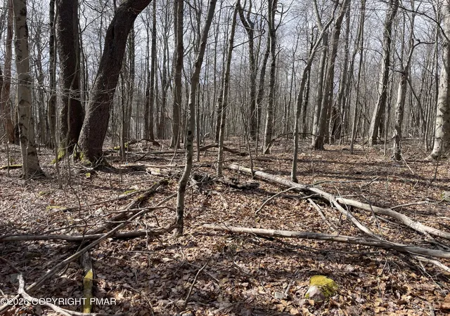 Photo 3 of Land for sale at 105 107 Meloni Dr E, Tobyhanna, PA 18466 | MLS# PM-144827 | Listing updated on 2026-09-18