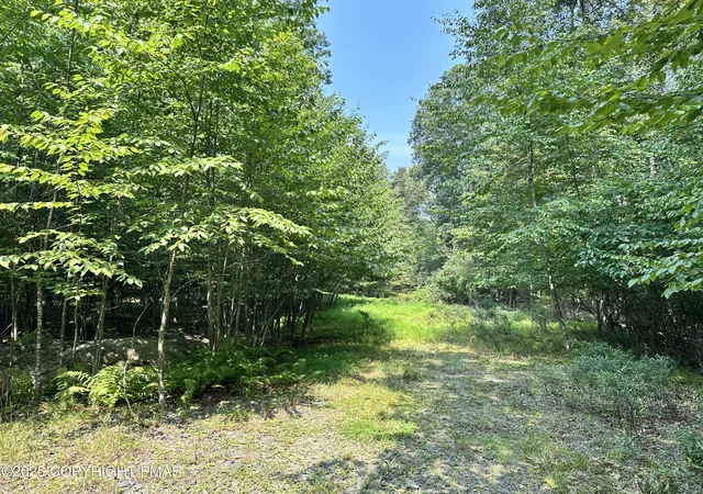 Photo 2 of Land for sale at Timber Hl Rd 3c, Henryville, PA 18332 | MLS# PM-145486 | Listing updated on 2026-10-21