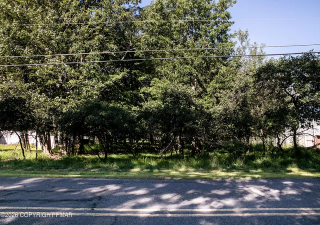 Photo 3 of Land for sale at Lot 134 Pine Ridge Dr, Bushkill, PA 18324 | MLS# PM-144927 | Listing updated on 2026-09-21