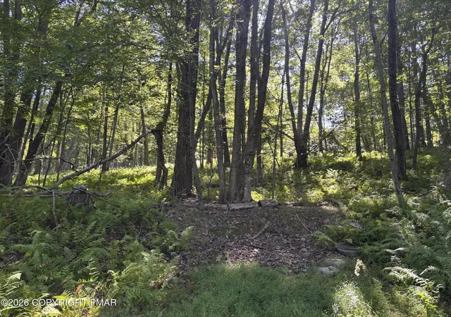 Land for sale at Ski Trl 32, Pocono Lake, PA 18347 | MLS# PM-144905