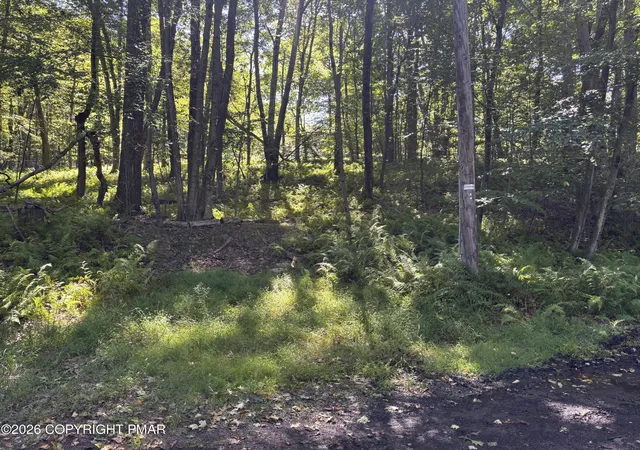 Photo 2 of Land for sale at Ski Trl 32, Pocono Lake, PA 18347 | MLS# PM-144905 | Listing updated on 2026-09-20