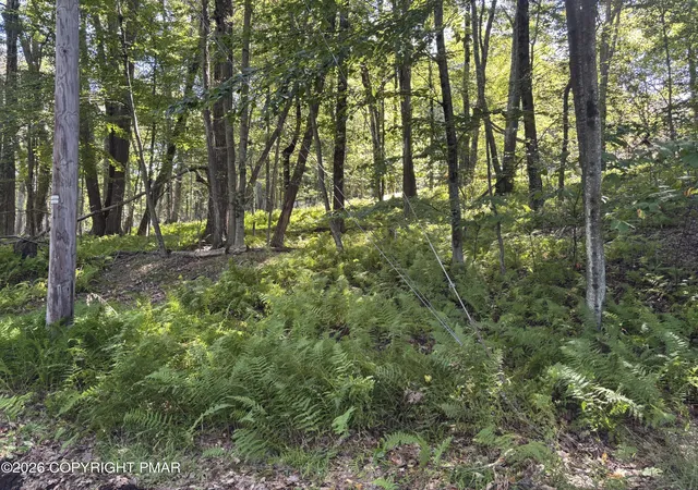 Photo 3 of Land for sale at Ski Trl 32, Pocono Lake, PA 18347 | MLS# PM-144905 | Listing updated on 2026-09-20