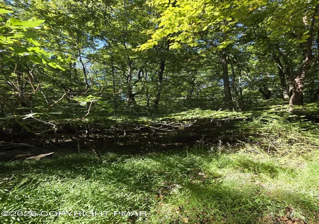 Photo 2 of Land for sale at 421 Donalds Rd, Effort, PA 18330 | MLS# PM-144904 | Listing updated on 2026-10-07