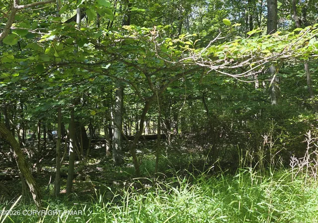 Photo 3 of Land for sale at 421 Donalds Rd, Effort, PA 18330 | MLS# PM-144904 | Listing updated on 2026-10-07
