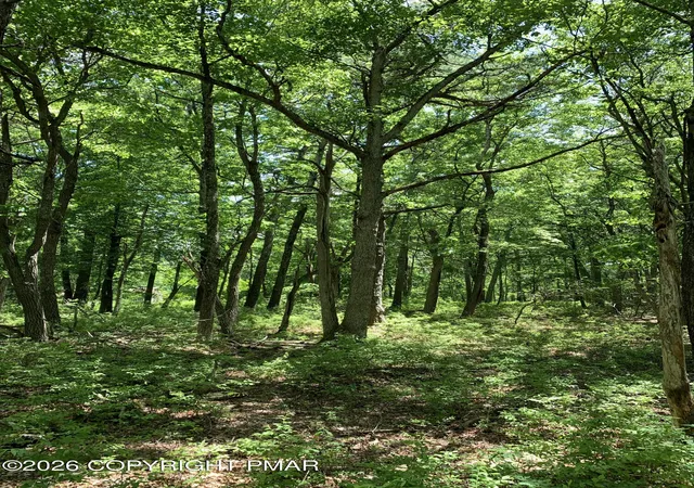 Photo 1 of Land for sale at Squirrel Rd, Dingmans Ferry, PA 18328 | MLS# PM-144917 | Listing updated on 2026-09-21