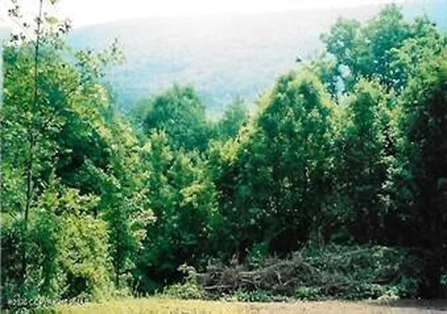 Photo 1 of Land for sale at Pantherlick Rd, Sugar Run, PA 18846 | MLS# PM-144923 | Listing updated on 2026-09-21
