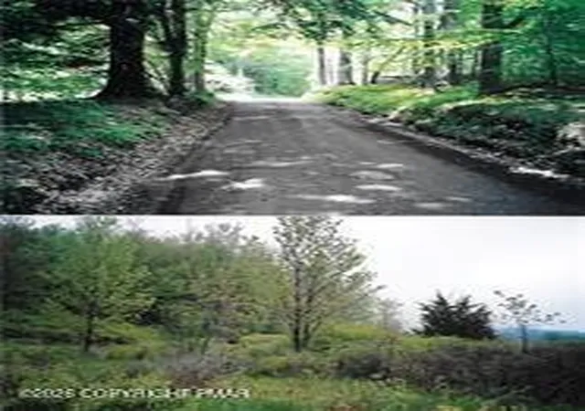 Photo 2 of Land for sale at Pantherlick Rd, Sugar Run, PA 18846 | MLS# PM-144923 | Listing updated on 2026-09-21