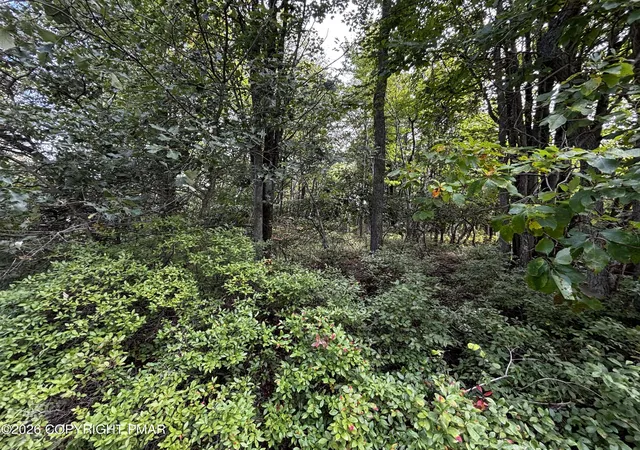 Photo 3 of Land for sale at 1112 Lr 45040 5117, Long Pond, PA 18334 | MLS# PM-144949 | Listing updated on 2026-09-23