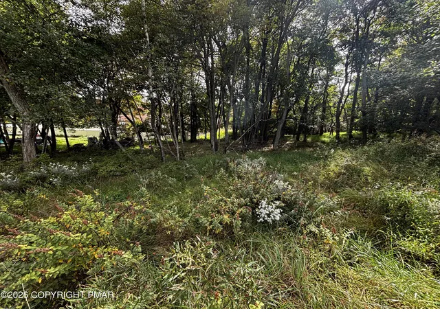 Photo 3 of Land for sale at Long Pond Rd, Long Pond, PA 18334 | MLS# PM-144951 | Listing updated on 2026-09-23