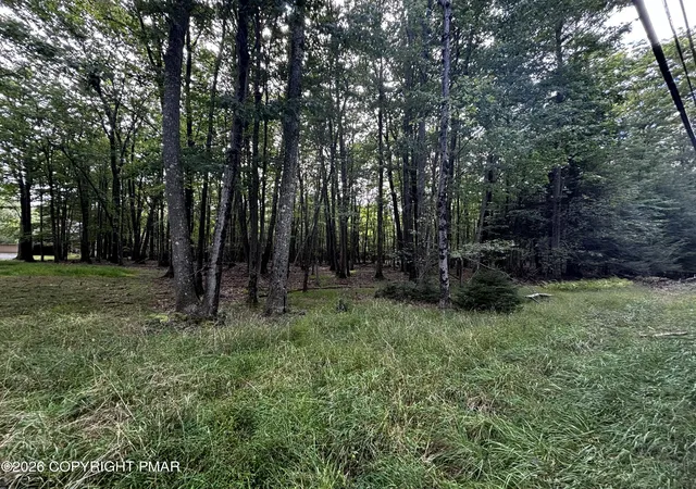 Photo 3 of Land for sale at Lr 45024, Pocono Summit, PA 18346 | MLS# PM-144957 | Listing updated on 2026-09-23