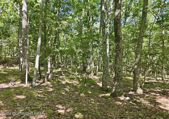Photo 2 of Land for sale at Gingerbread Ln 54, East Stroudsburg, PA 18302 | MLS# PM-145021 | Listing updated on 2026-09-24
