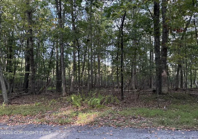 Photo 1 of Land for sale at Brown Bear Ct 27, East Stroudsburg, PA 18302 | MLS# PM-145066 | Listing updated on 2026-09-25