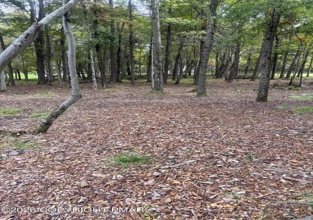 Photo 3 of Land for sale at 910/911 Willow Grv Rd, Pocono Summit, PA 18346 | MLS# PM-145197 | Listing updated on 2026-09-30