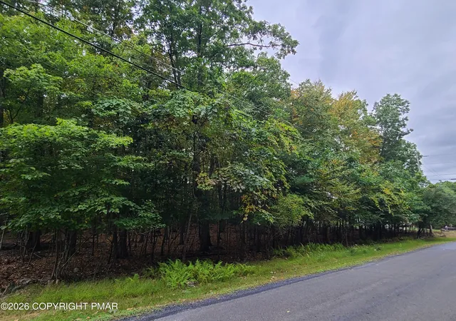 Photo 1 of Land for sale at Lot 46 White Dove Rd, East Stroudsburg, PA 18302 | MLS# PM-145210 | Listing updated on 2026-10-05