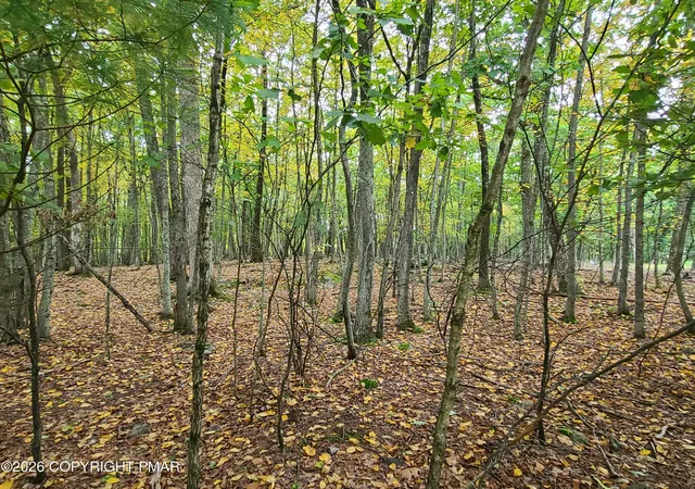 Photo 3 of Land for sale at Lot 46 White Dove Rd, East Stroudsburg, PA 18302 | MLS# PM-145210 | Listing updated on 2026-10-05