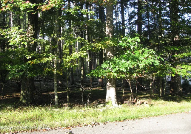 Photo 2 of Land for sale at 505 Magic Mountain Rd, Henryville, PA 18332 | MLS# PM-145323 | Listing updated on 2026-10-05