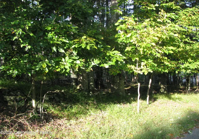 Photo 3 of Land for sale at 505 Magic Mountain Rd, Henryville, PA 18332 | MLS# PM-145323 | Listing updated on 2026-10-05