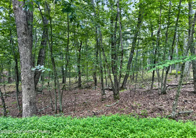 Photo 2 of Land for sale at Cowaw Rd, Milford, PA 18337 | MLS# PM-145346 | Listing updated on 2026-10-06