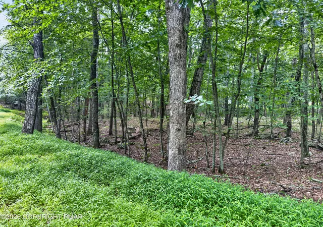 Photo 3 of Land for sale at Cowaw Rd, Milford, PA 18337 | MLS# PM-145346 | Listing updated on 2026-10-06