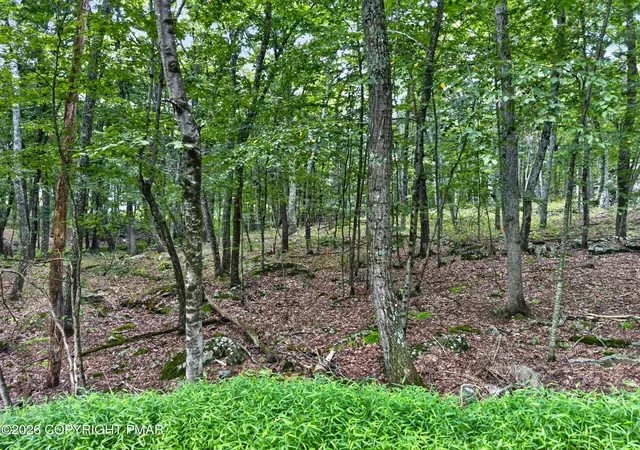 Photo 3 of Land for sale at Cowaw Rd, Milford, PA 18337 | MLS# PM-145346 | Listing updated on 2026-10-06
