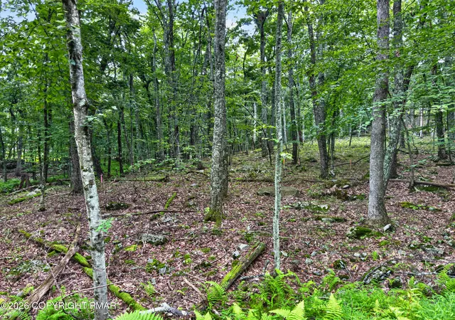 Photo 4 of Land for sale at Cowaw Rd, Milford, PA 18337 | MLS# PM-145346 | Listing updated on 2026-10-06