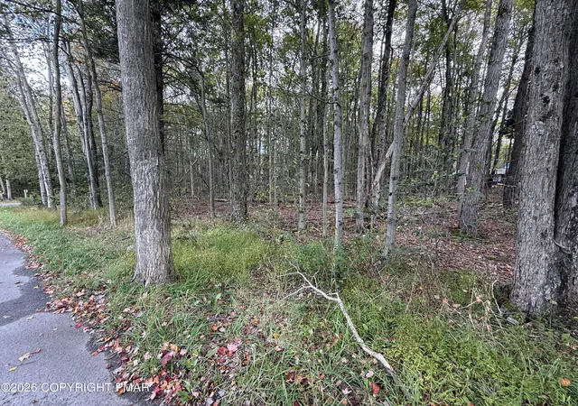 Photo 2 of Land for sale at 1168 Gross Dr W, Pocono Pines, PA 18350 | MLS# PM-145414 | Listing updated on 2026-10-08