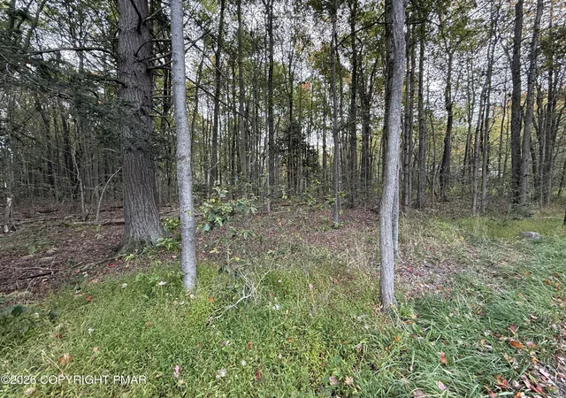 Photo 3 of Land for sale at 1168 Gross Dr W, Pocono Pines, PA 18350 | MLS# PM-145414 | Listing updated on 2026-10-08