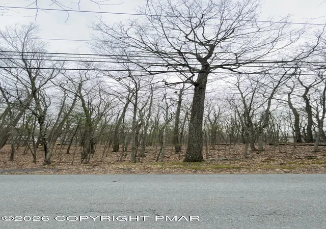 Photo 3 of Land for sale at Upper Lakeview Dr, Hawley, PA 18428 | MLS# PM-145403 | Listing updated on 2026-10-09