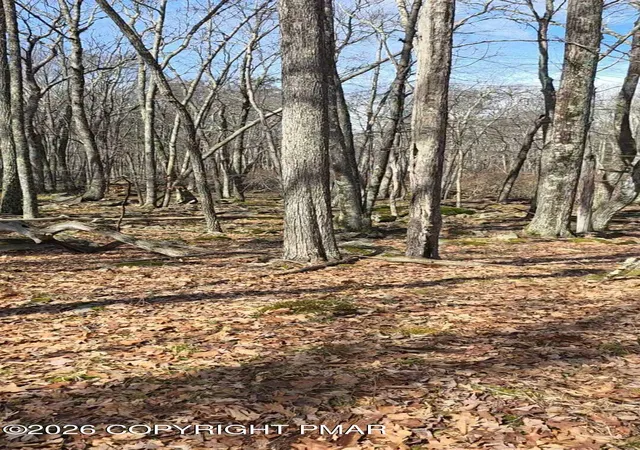 Photo 3 of Land for sale at Whitetail Cir, Lackawaxen, PA 18435 | MLS# PM-145444 | Listing updated on 2026-10-09