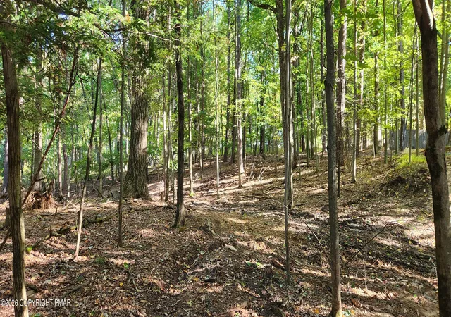 Photo 1 of Land for sale at Goldfinch Pl, Mount Pocono, PA 18344 | MLS# PM-145454 | Listing updated on 2026-10-09