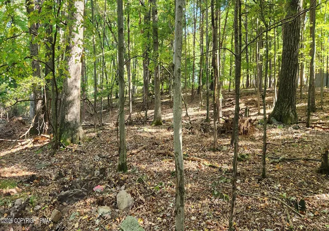 Photo 2 of Land for sale at Goldfinch Pl, Mount Pocono, PA 18344 | MLS# PM-145454 | Listing updated on 2026-10-09