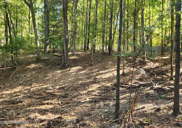 Photo 3 of Land for sale at Goldfinch Pl, Mount Pocono, PA 18344 | MLS# PM-145454 | Listing updated on 2026-10-09