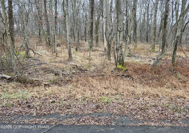 Photo 1 of Land for sale at Oak View Ln, Tobyhanna, PA 18466 | MLS# PM-145459 | Listing updated on 2026-10-09
