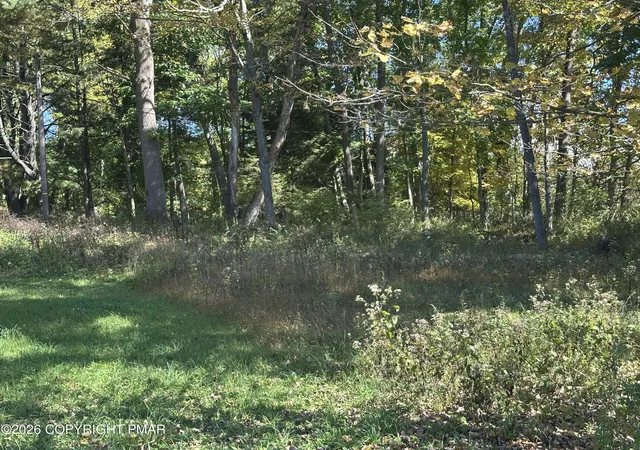 Photo 2 of Land for sale at Sr 447 Independence Rd 1, East Stroudsburg, PA 18301 | MLS# PM-145613 | Listing updated on 2026-10-13