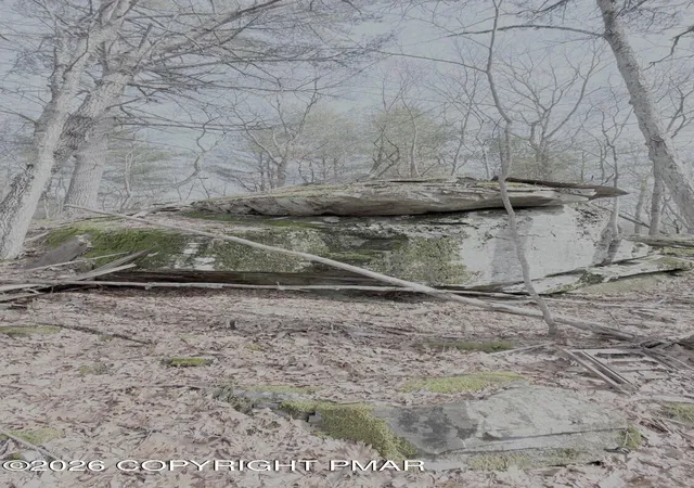 Photo 4 of Land for sale at Lot 183 Sec 8, Lackawaxen, PA 18435 | MLS# PM-145563 | Listing updated on 2026-10-12