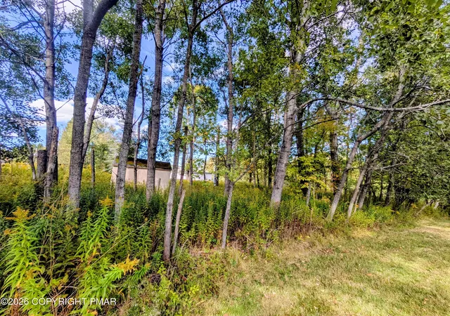 Photo 3 of Land for sale at Main St, Forest City, PA 18421 | MLS# PM-145586 | Listing updated on 2026-10-13