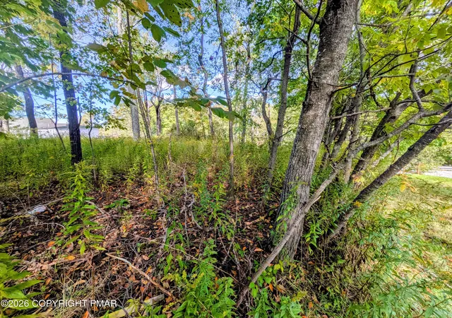 Photo 3 of Land for sale at Main St, Forest City, PA 18421 | MLS# PM-145586 | Listing updated on 2026-10-13